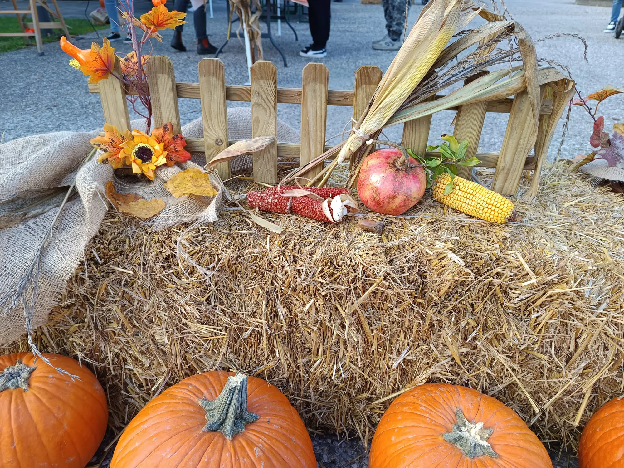 Festa-della-Zucca-Pieris_autunno
